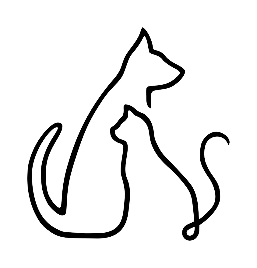 Logo Animova